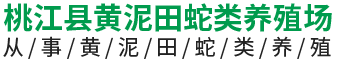 湖南桃江縣黃泥田蛇類養殖專業技術培訓